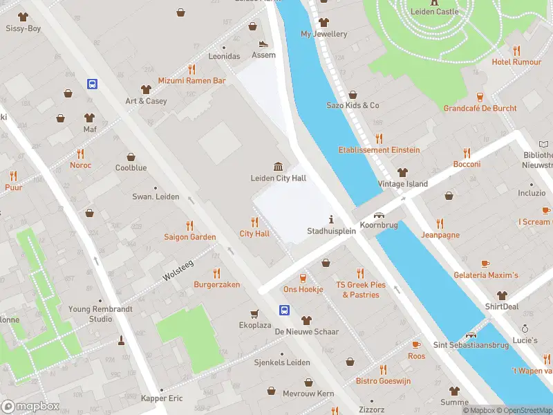 Ambulance met gepaste spoed naar de Stadhuisplein in Leiden