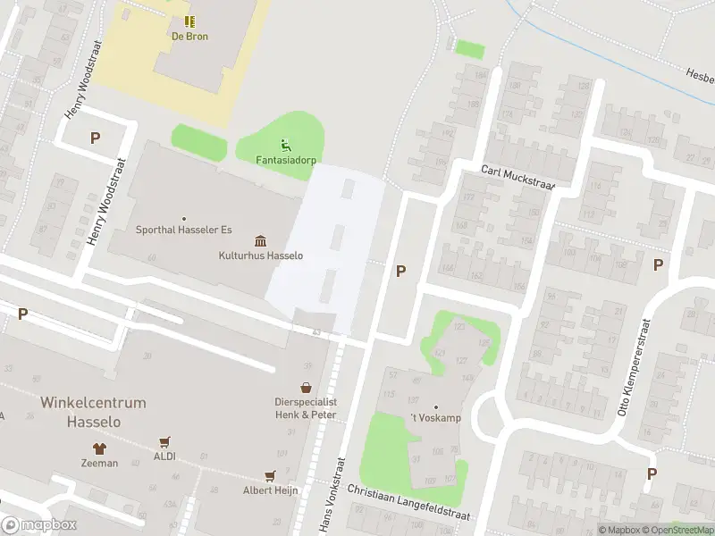 Brandweer met gepaste spoed naar de Carl Muckstraat in Hengelo