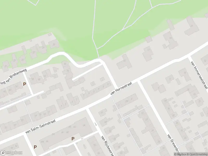 Overlastmelding Van Hornestraat in Loon op Zand