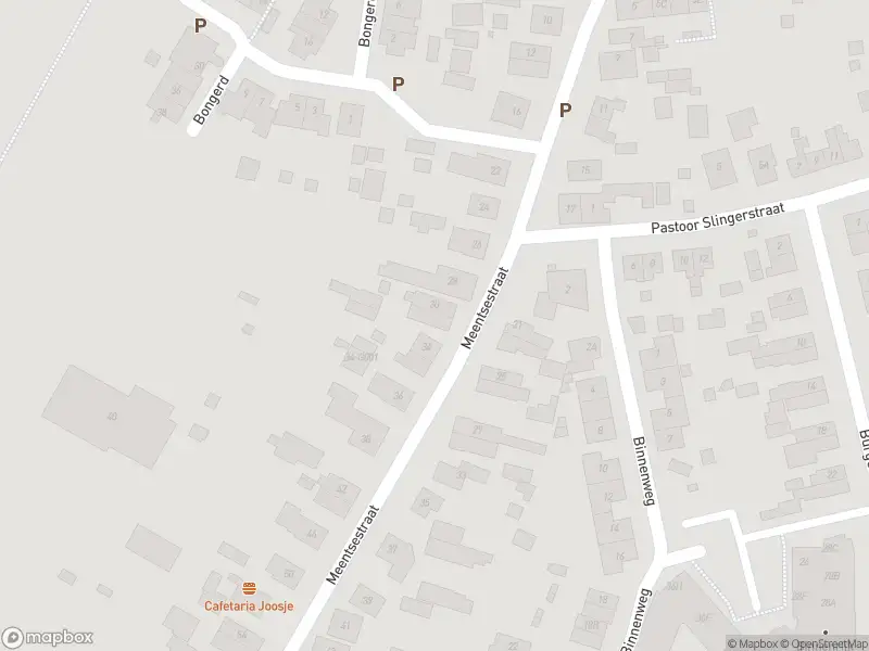 Overlastmelding Rugstreeppad in 6987GB Giesbeek gesloten