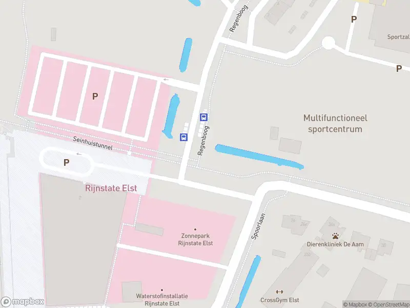 Overlastmelding Nieuwe Aamsestraat in Elst