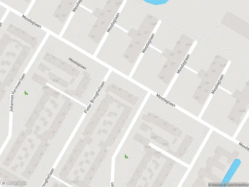 Overlastmelding Mesdaglaan in Hillegom