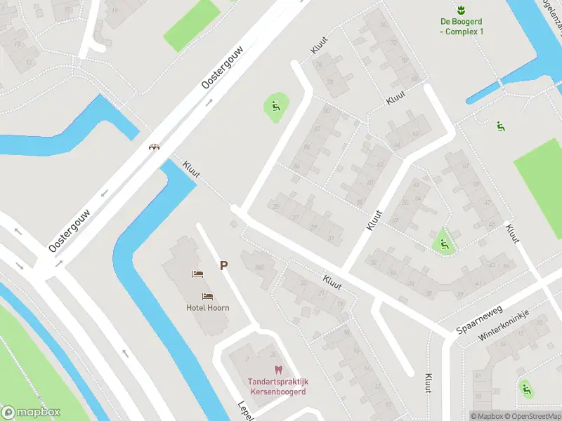 Overlastmelding Kluut in Hoorn