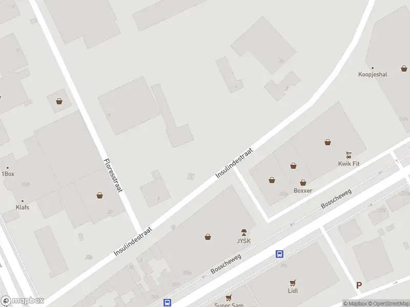 Overlastmelding Insulindestraat in Tilburg