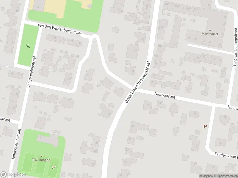 Overlastmelding Onze-Lieve-Vrouwestraat in Zegge