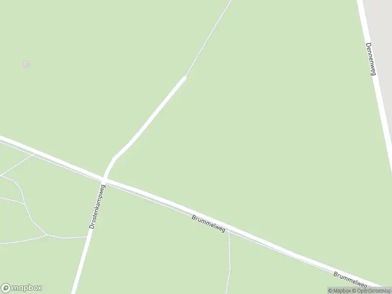 Brandweer met gepaste spoed naar de Brummelweg in Neede