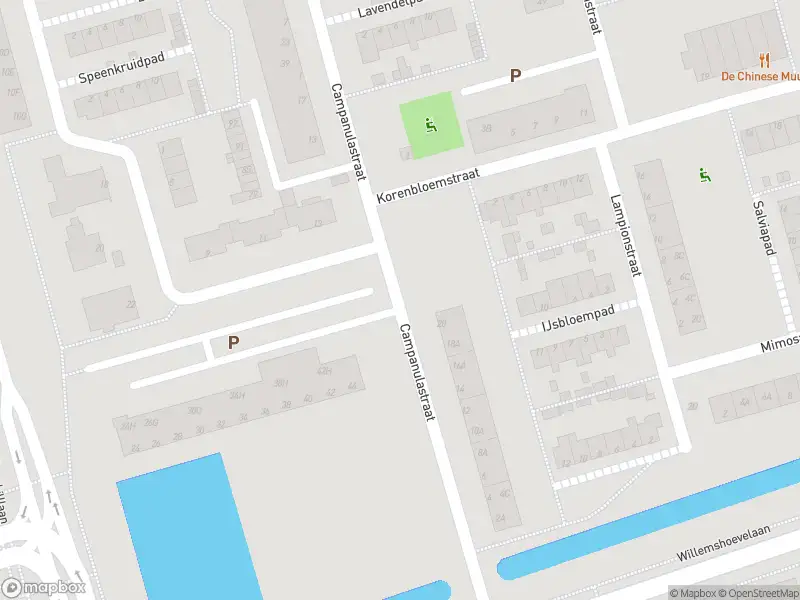 Ambulance met grote spoed naar de Campanulastraat in Spijkenisse