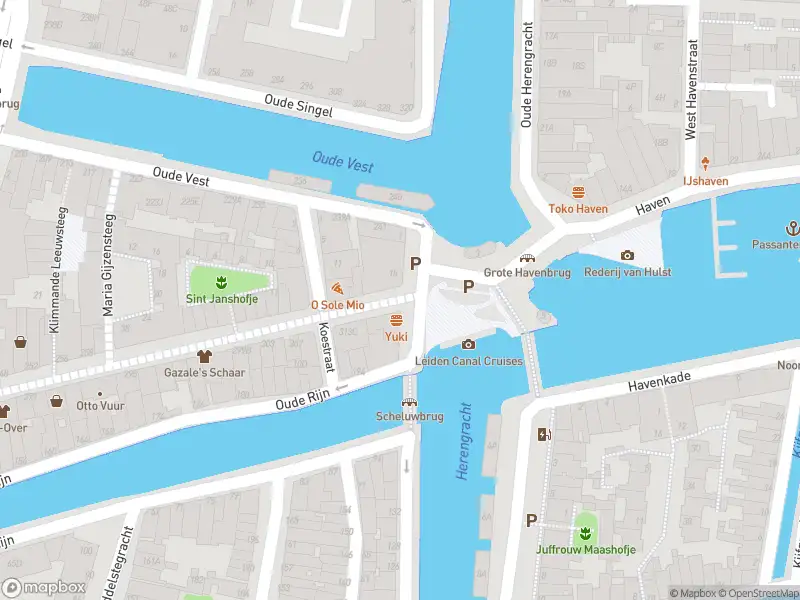 Brandweer met grote spoed naar de Haven in Leiden vanwege waarnemen gaslucht