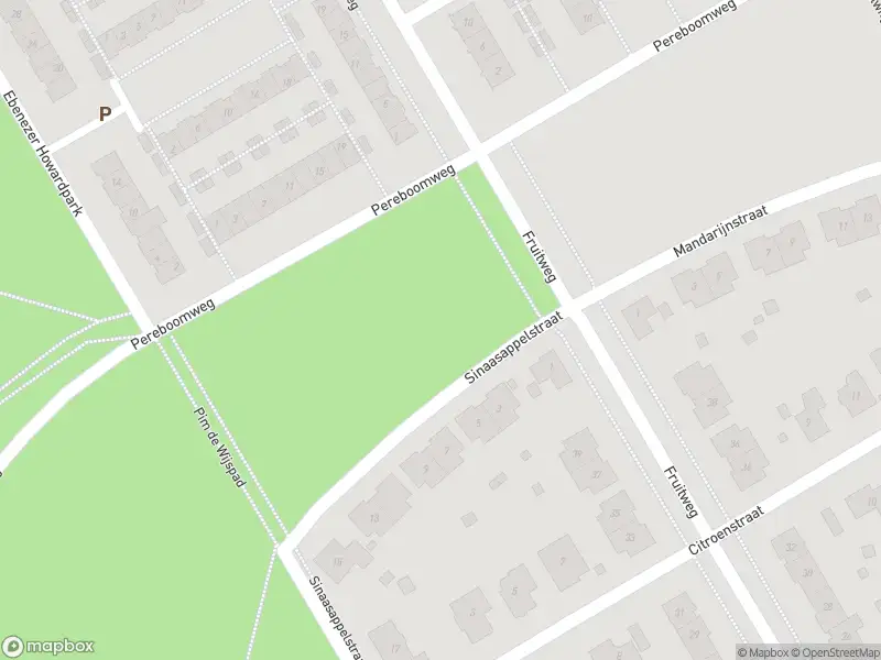 Overlastmelding Alseïdenstraat & Homerusplein in Almere