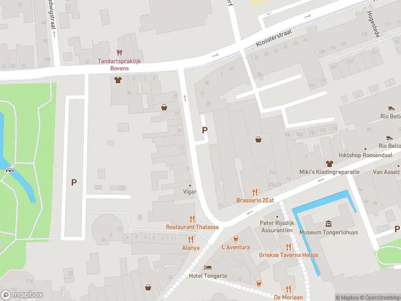 Brandweer met gepaste spoed naar de Dominéstraat in Roosendaal
