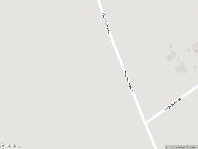 Brandweer met gepaste spoed naar de Killenbeekweg in Hulshorst