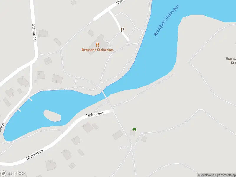 Brandweer met gepaste spoed naar de Steinerbos in Stein