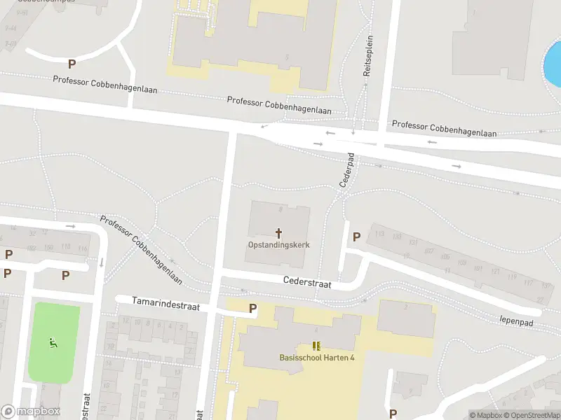 Overlastmelding Professor Cobbenhagenlaan in Tilburg
