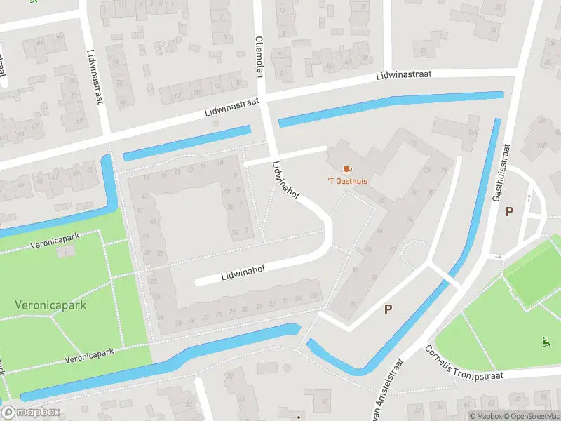 Brandweer met grote spoed naar de Lidwinahof in Schijndel
