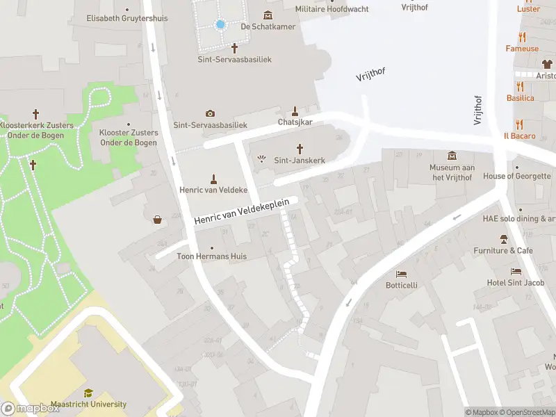 Brandweer met gepaste spoed naar de Henric van Veldekeplein in Maastricht