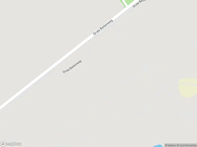 Brandweer met gepaste spoed naar de Grote Beltenweg in Rheeze