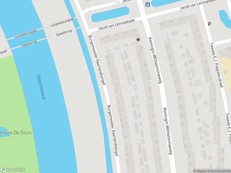 Overlastmelding Ruige Weteringpad in Gouda