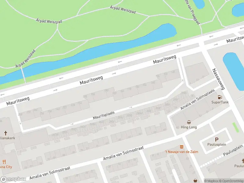 Overlastmelding Mauritsweg in Dordrecht