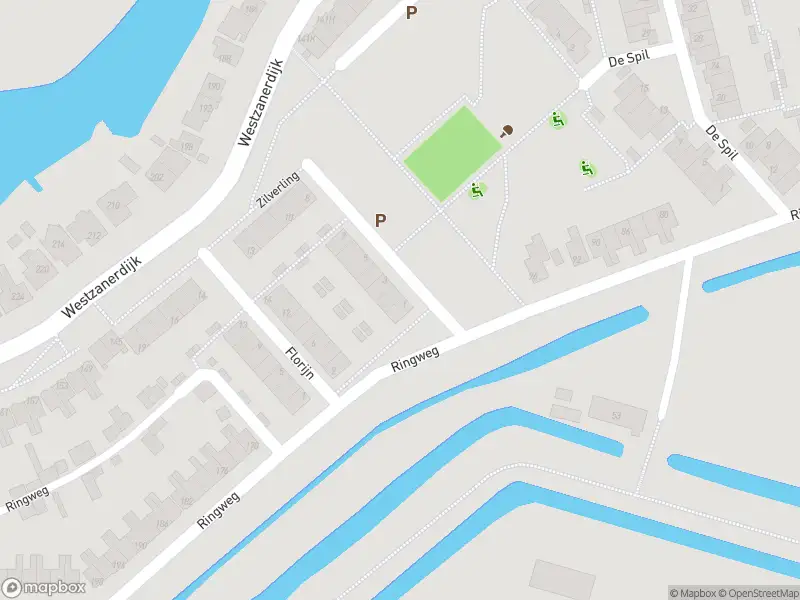 Overlastmelding Zilverling in Zaandam