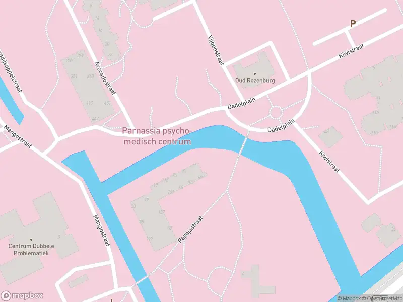 Ambulance met grote spoed naar de Papajastraat in 's-Gravenhage