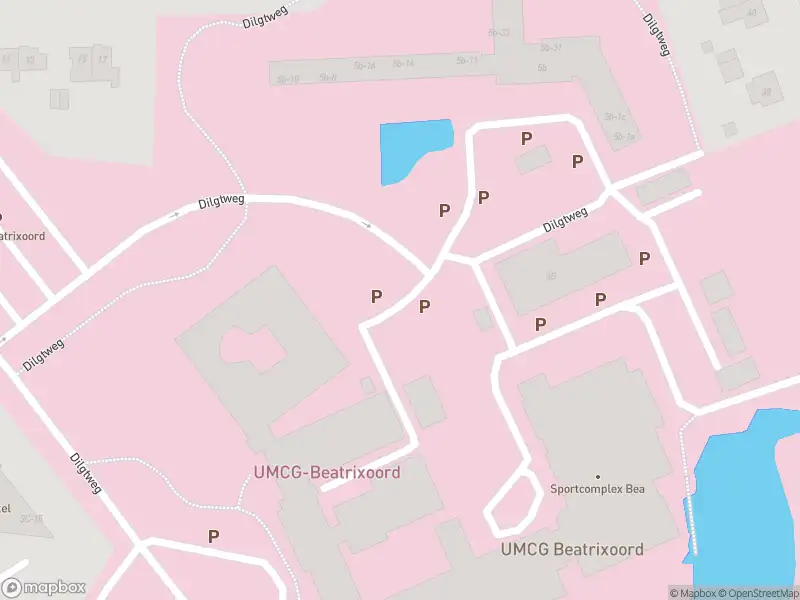 Brandweer met grote spoed naar de Dilgtweg in Haren vanwege afgaan automatisch brandalarm