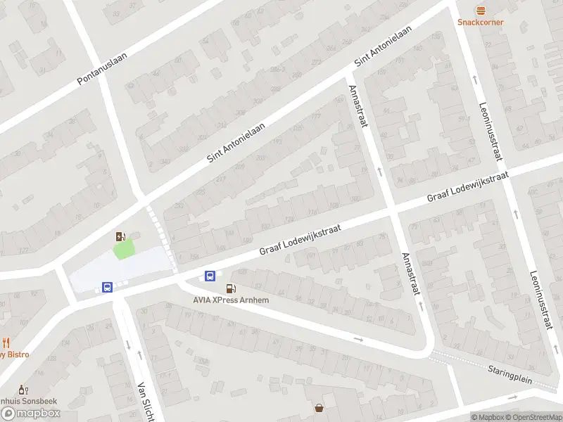 Overlastmelding Leoninusstraat in 6821EP Arnhem gesloten