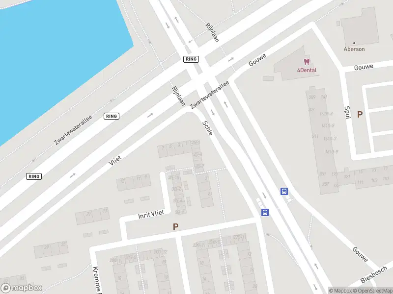Politie naar de Schie in Zwolle vanwege aanrijding met letsel