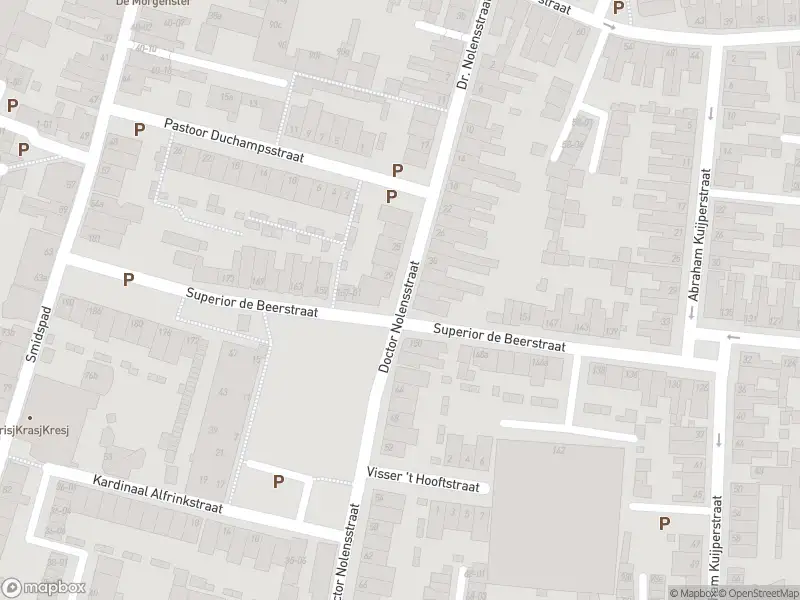 Overlastmelding Doctor Nolensstraat in Tilburg