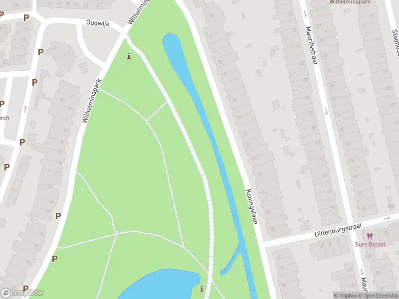 Brandweer met gepaste spoed naar de Wilhelminapark in Utrecht
