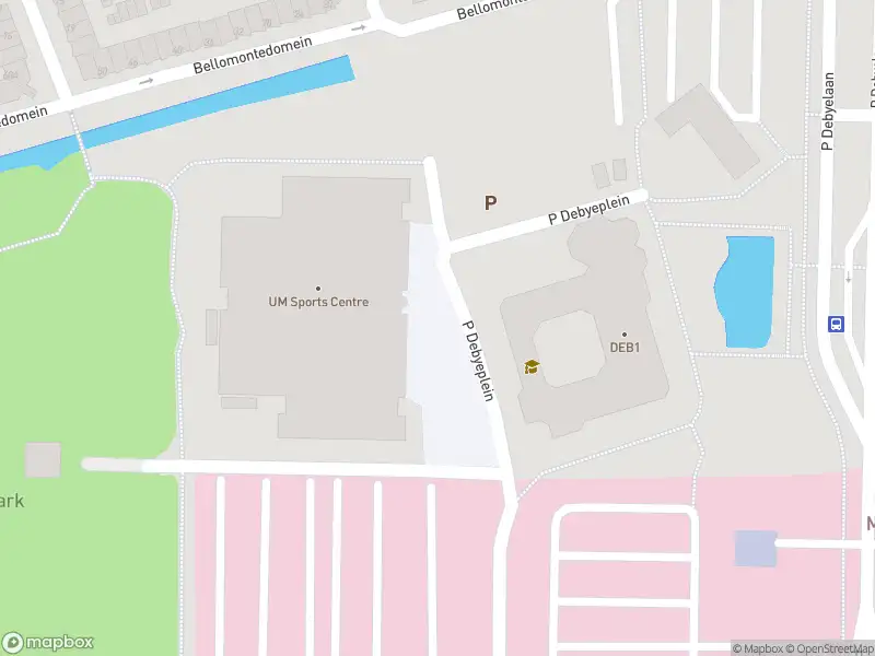 Brandweer met gepaste spoed naar de P Debyeplein in Maastricht vanwege dier(en) in nood