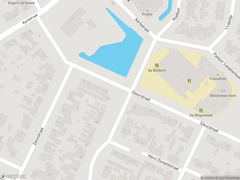 Ambulance met grote spoed naar de Steurstraat in Hank