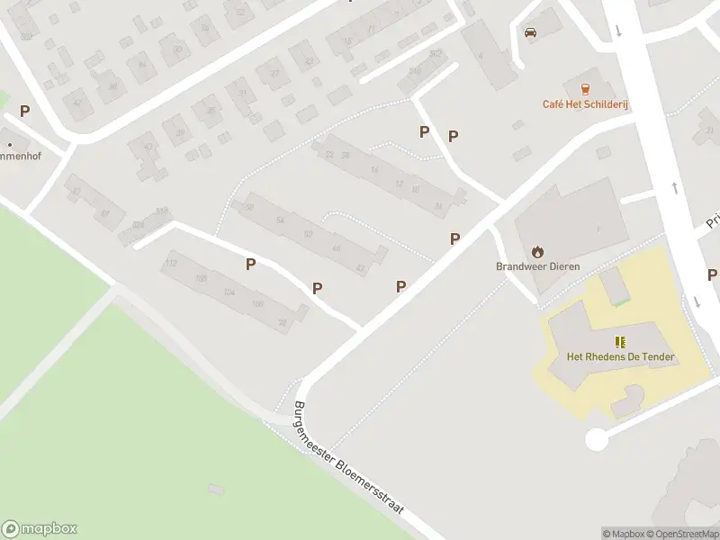 Overlastmelding Burgemeester Bloemersstraat in Dieren
