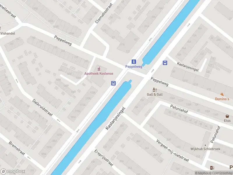 Ambulance met grote spoed naar de Peppelweg in Rotterdam
