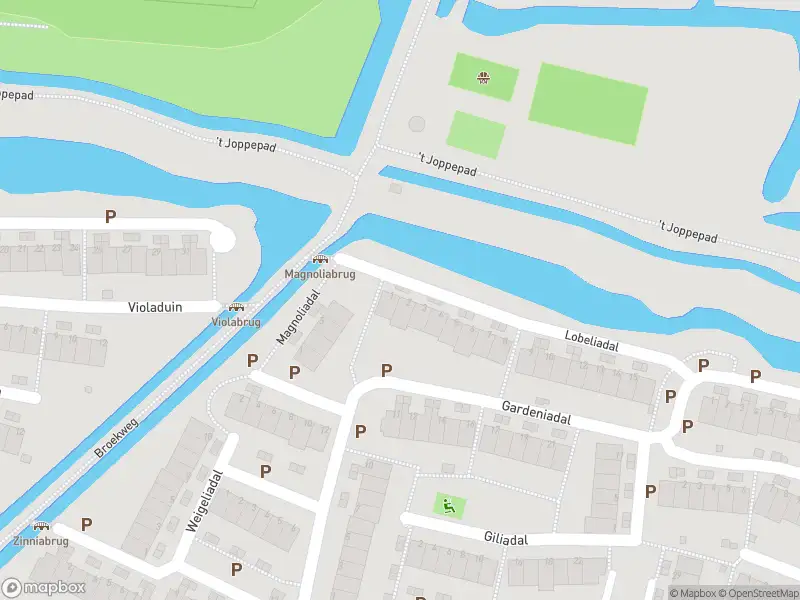 Ambulance met grote spoed naar de Lobeliadal in Leiden