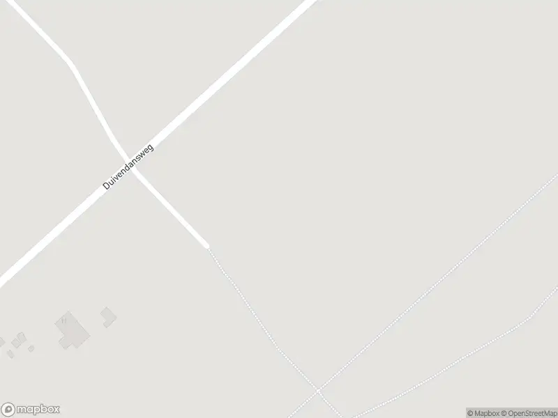 Traumahelikopter met grote spoed naar de Duivendansweg in Wezep
