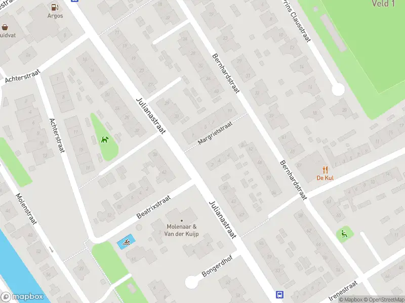 Ambulance met gepaste spoed naar de Margrietstraat in Strijen