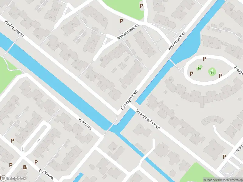 Ambulance met gepaste spoed naar de Koningsvaren in Bergschenhoek