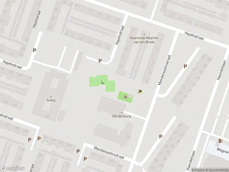 Overlastmelding Haydnstraat in 5011NM Tilburg