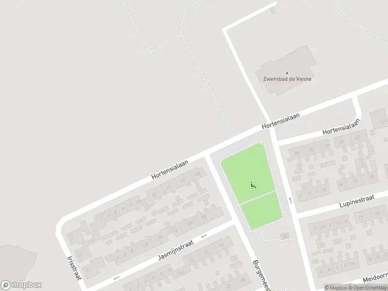 Overlastmelding Hortensialaan in Hippolytushoef
