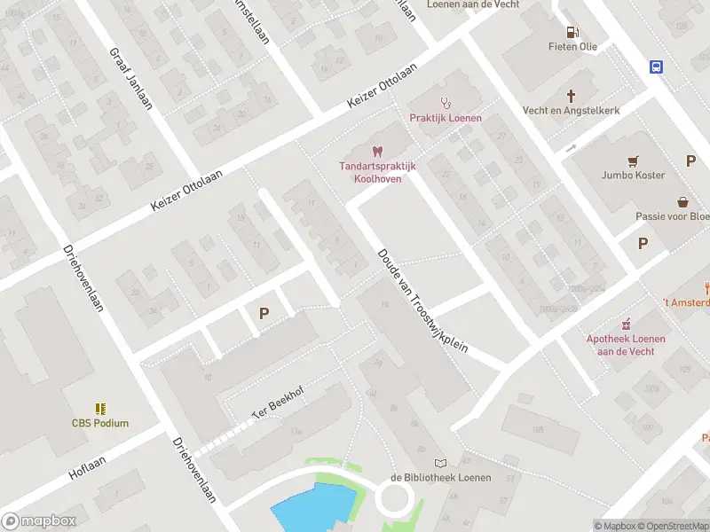 Overlastmelding Doude van Troostwijkplein in Loenen aan de Vecht