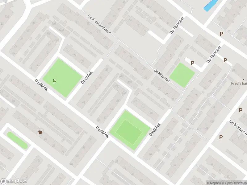 Ambulance met grote spoed naar de De Frankenthaler in Wateringen