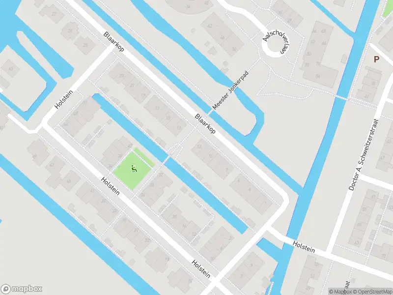 Ambulance met gepaste spoed naar de Blaarkop in Ter Aar