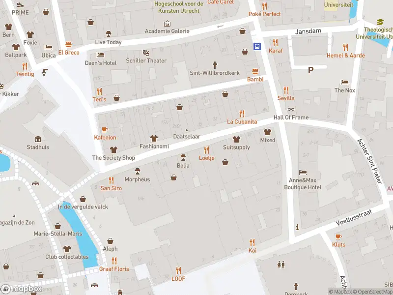 Politie naar de Domplein in Utrecht