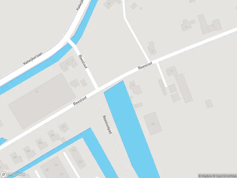 Ambulance met grote spoed naar de Reesloot in Pijnacker