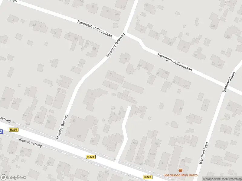 Ambulance met gepaste spoed naar de Rijksstraatweg in Leersum vanwege dier(en) in nood