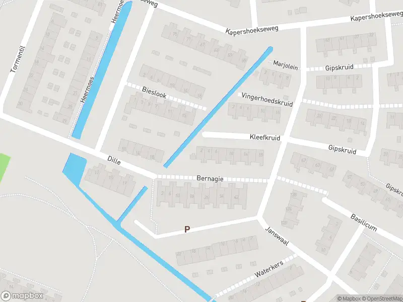 Ambulance met grote spoed naar de Kleefkruid in Hoogvliet Rotterdam