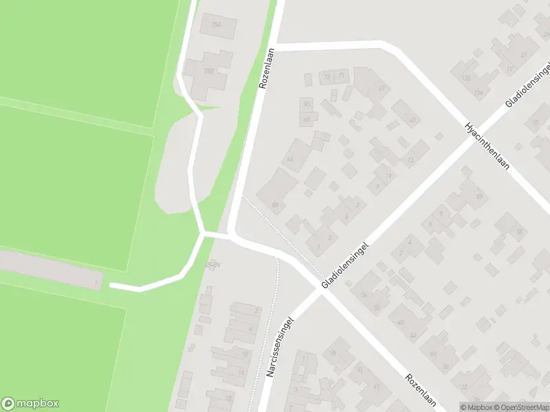 Overlastmelding Rozenlaan in Geleen