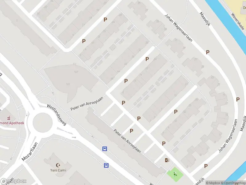 Overlastmelding Peter van Anrooylaan in Maassluis (3144 LD)