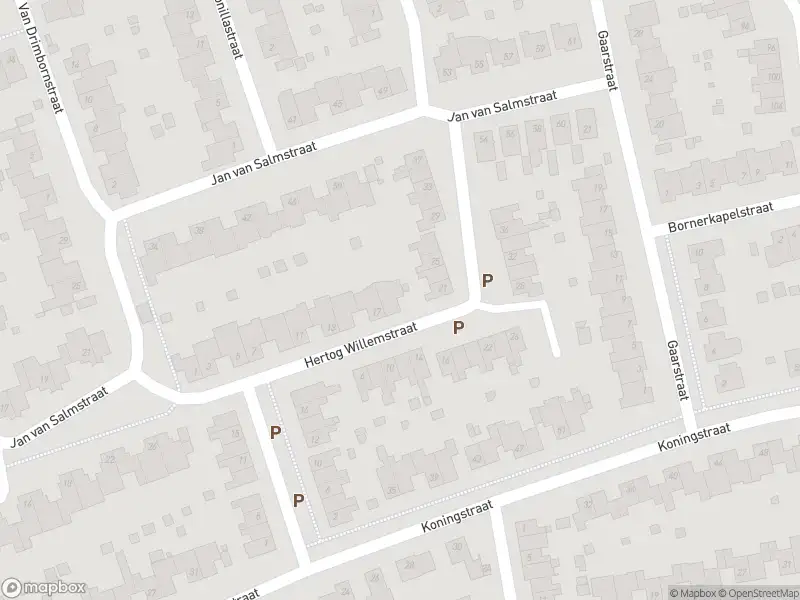 Overlastmelding Jan van Salmstraat in 6121NE Born