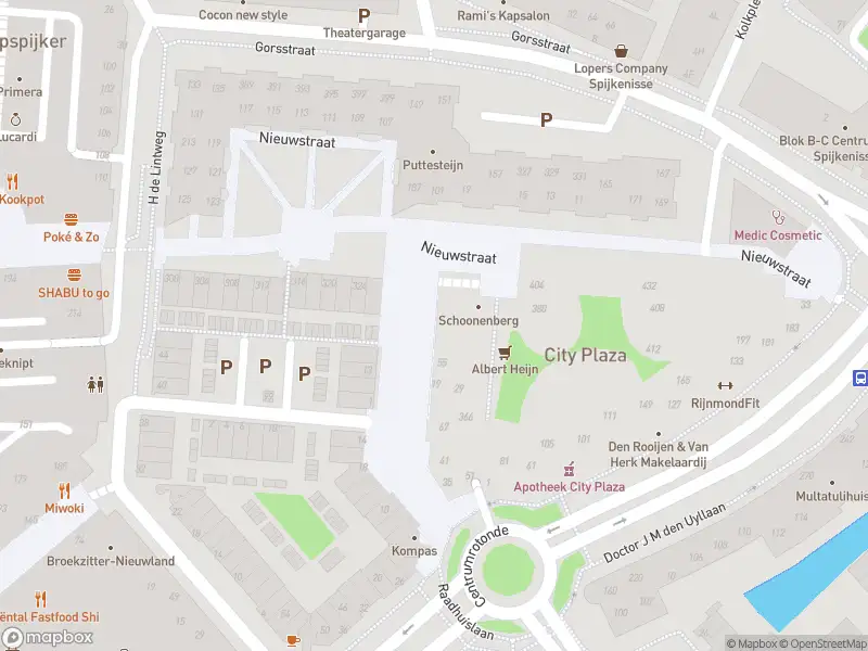 Ambulance met gepaste spoed naar de Nieuwstraat in Spijkenisse
